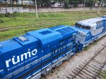 RUMO 9598